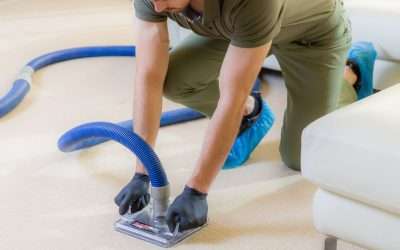 What is the average cost of Carpet Cleaning in Phoenix, Arizona?