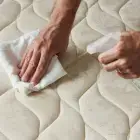 Professional Mattress spot treatment in Phoenix